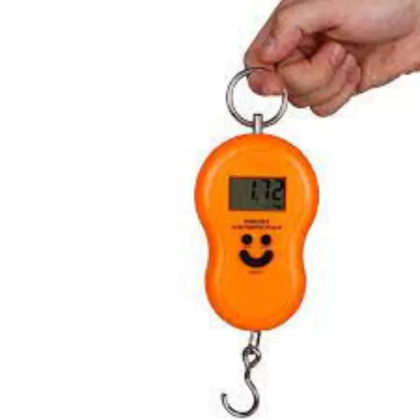 Portable Digital Hanging Luggage Weight Scale - image 3