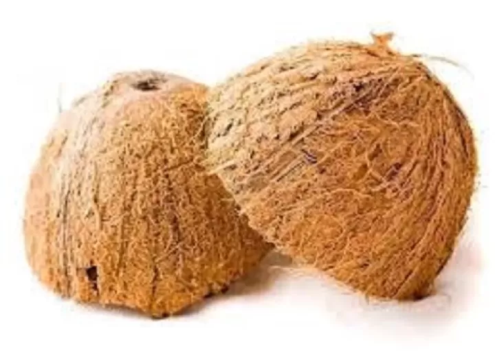 10 Pcs Dry Coconut Shell Without Fiber But Not Smooth Natura - image 3