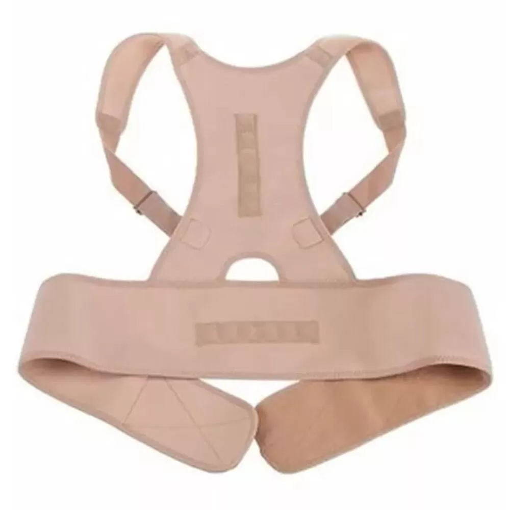 Royal Posture Back Support