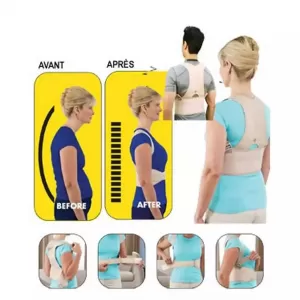 Royal Posture Back Support