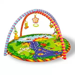 Activity Playmat Gym