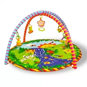 Activity Playmat Gym