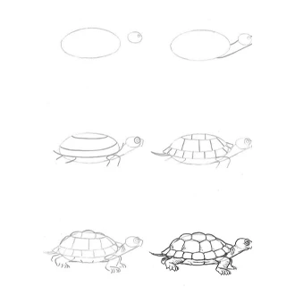 Draw 50 Animals Pdf Book - image 4