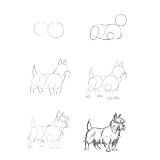 Draw 50 Animals Pdf Book - image 5