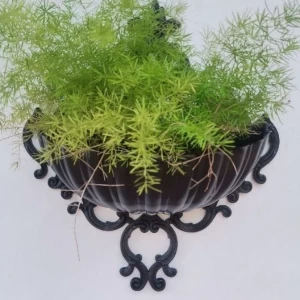 Buy Wall Hanging Flower Pot Plastic Sea Shell PotGarden Pot