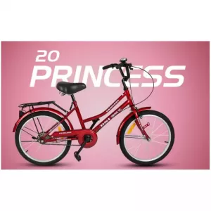 Dsi 20 Princess Bike