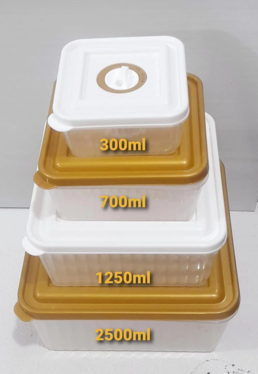 4pcs Food Storage Boxes