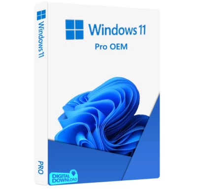 Windows 10/11 Pro OEM Activation key - image 1