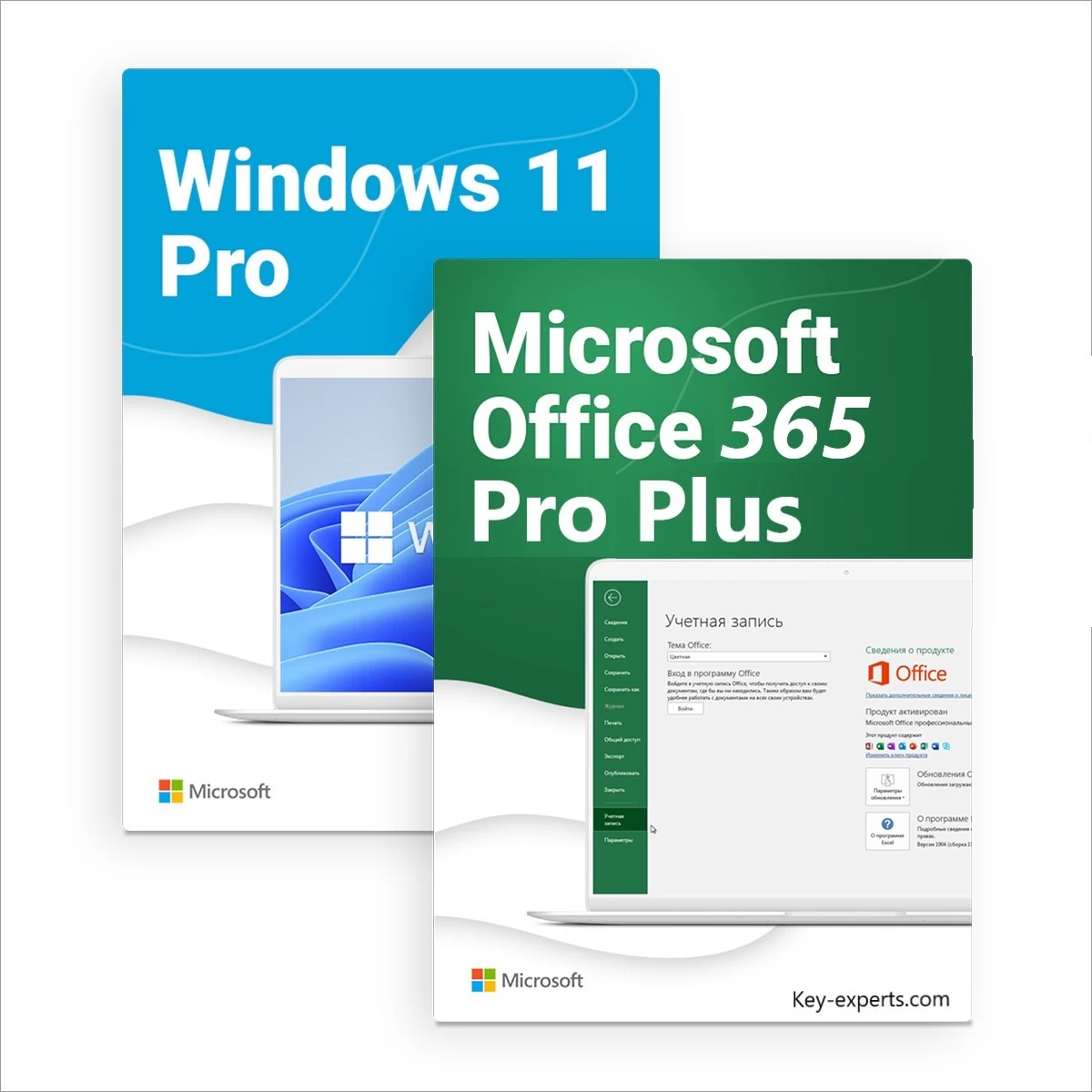 Windows_10/11 Pro + office 365