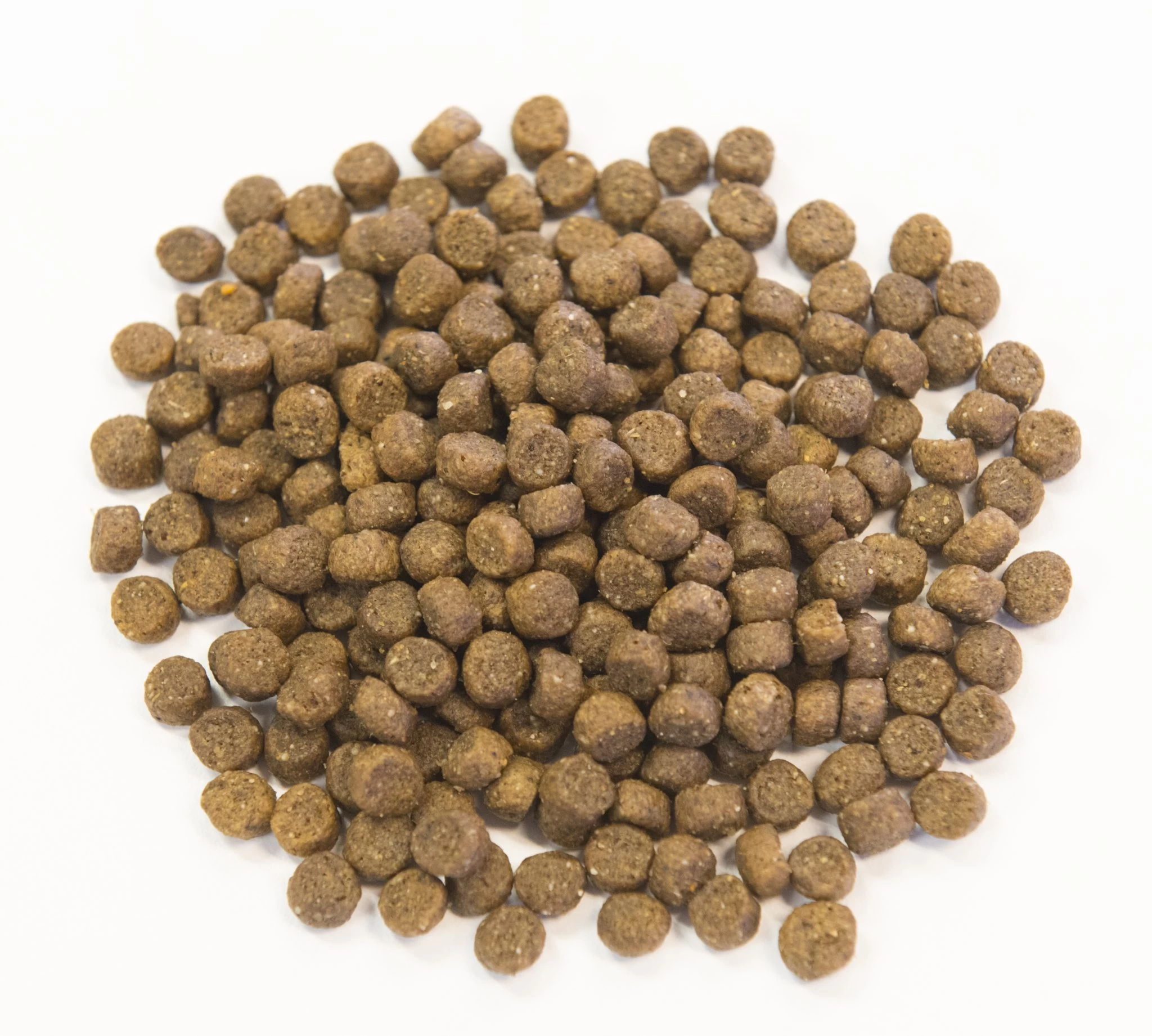 Champion Puppy Dog Food - image 4