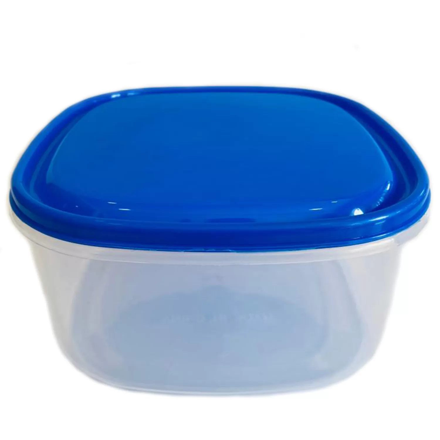 Generic 1 Piece Visual Plastic Food Container Large Blue