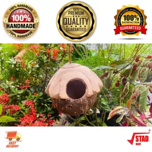 Trituradora de rallador de coco Odiris (Sri Lanka) modelo A8 con cubierta de plástico para