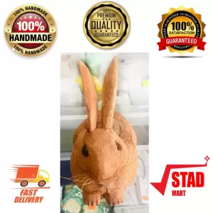 Generic Coconut Husk RABBIT Jewelry Box