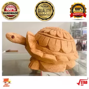 Generic Coconut Husk Tortoise High Quality Durable Natural