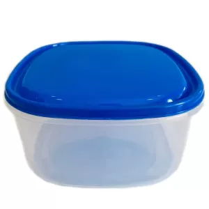 Generic 1 Piece Visual Plastic Food Container Large Blue