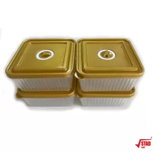 Gold 4Pcs Transparent Food Containers Microwave Safe