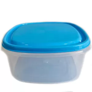 Generic Light Blue Small Plastic Food Container