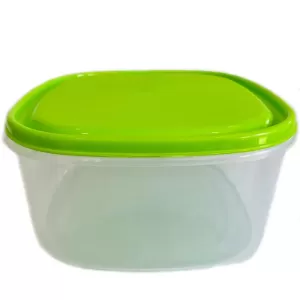 Generic Light Green 1 Piece Visual Plastic Food Container