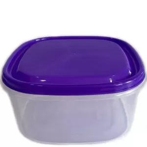 Generic 1pc Visual Plastic Food Container Medium Purple