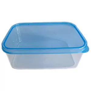 Generic Transparent Lunch Box