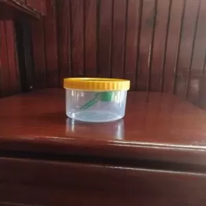 Transparency 250ML Masala Spices Container