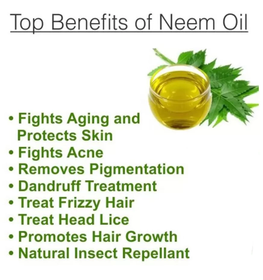 Natural Ayurveda Margosa Neem Oil 30 ml - image 3
