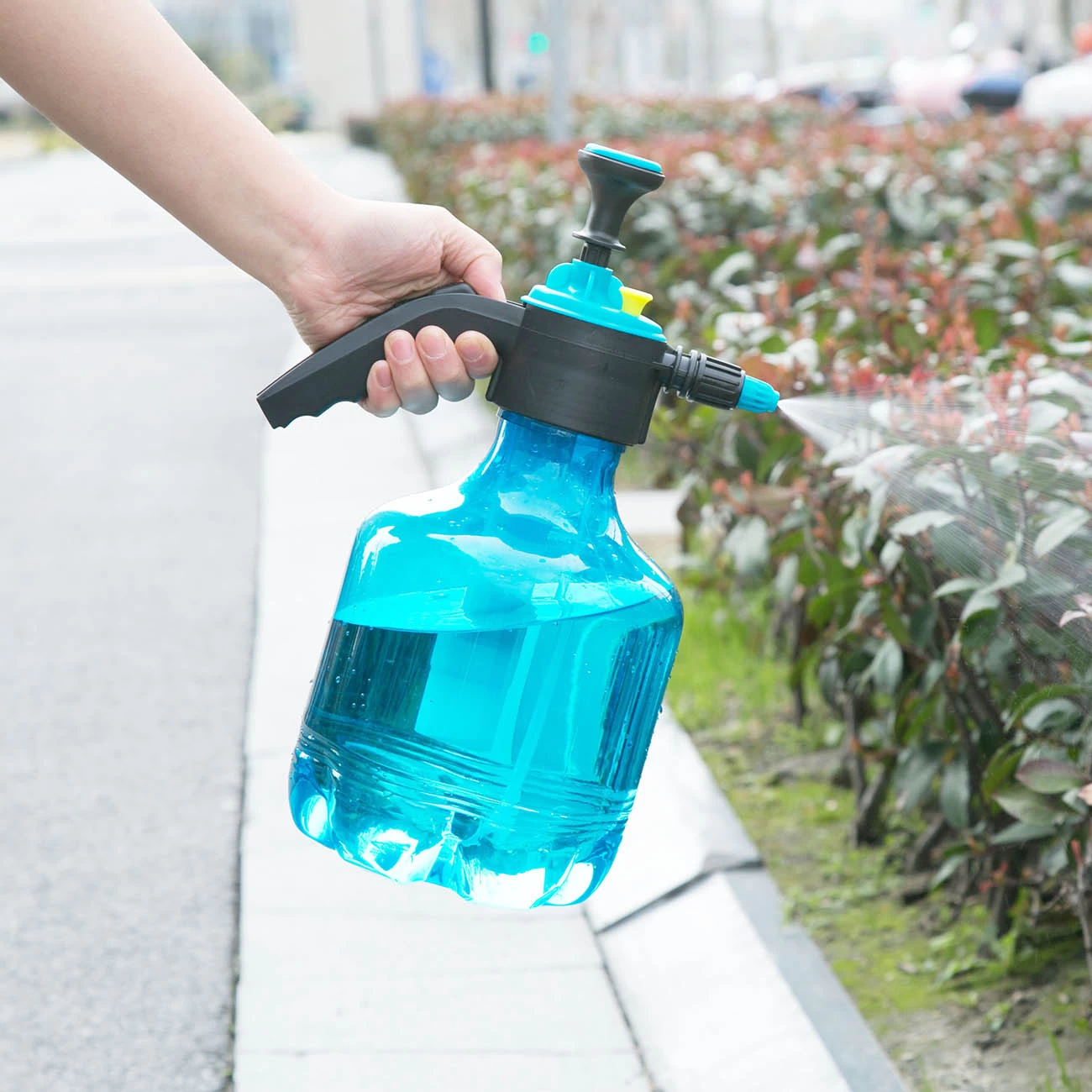 3L Pressure Pump Sprayer