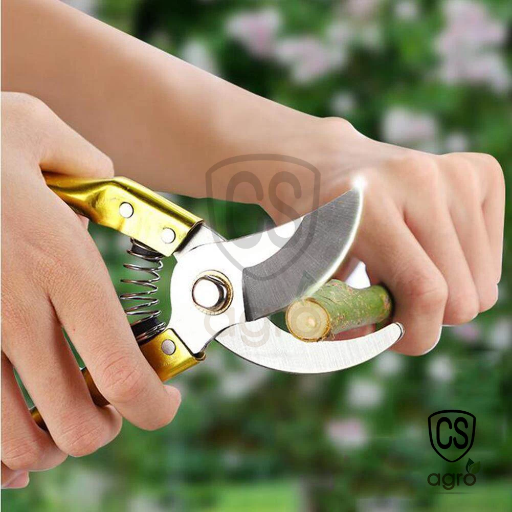 Generic Garden Pruning Shears Alloy Steel