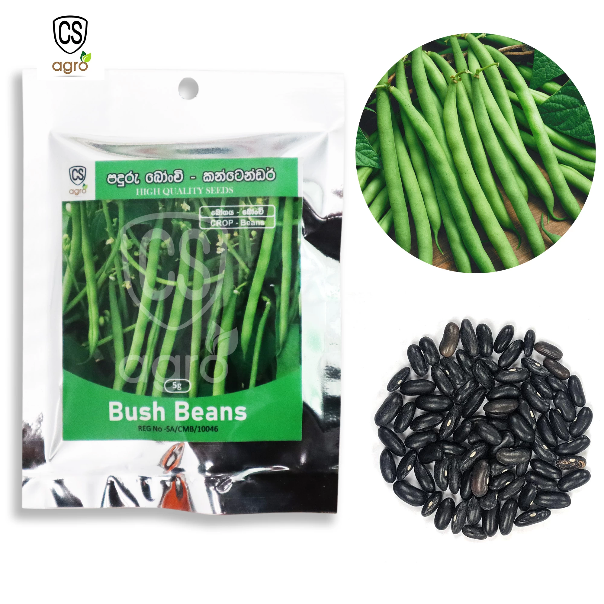 Generic Bush Beans Seeds 5g for Home Gardening - image 1