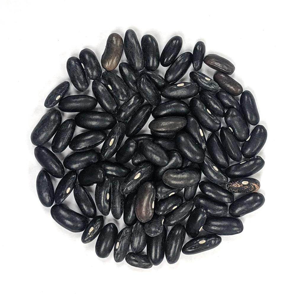 Generic Bush Beans Seeds 5g for Home Gardening - image 4