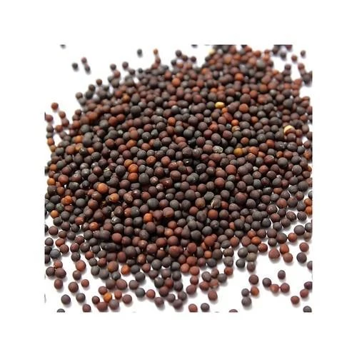 F1 Hybrid Cabbage Seeds 10g - image 2