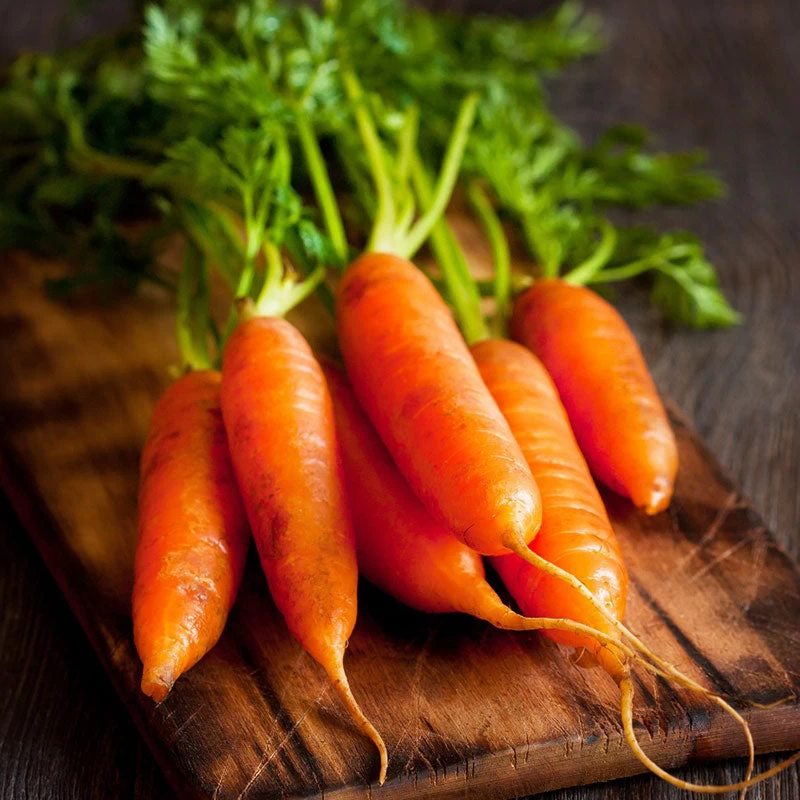 Generic F1 Hybrid Carrot Seeds 0.5g - image 3