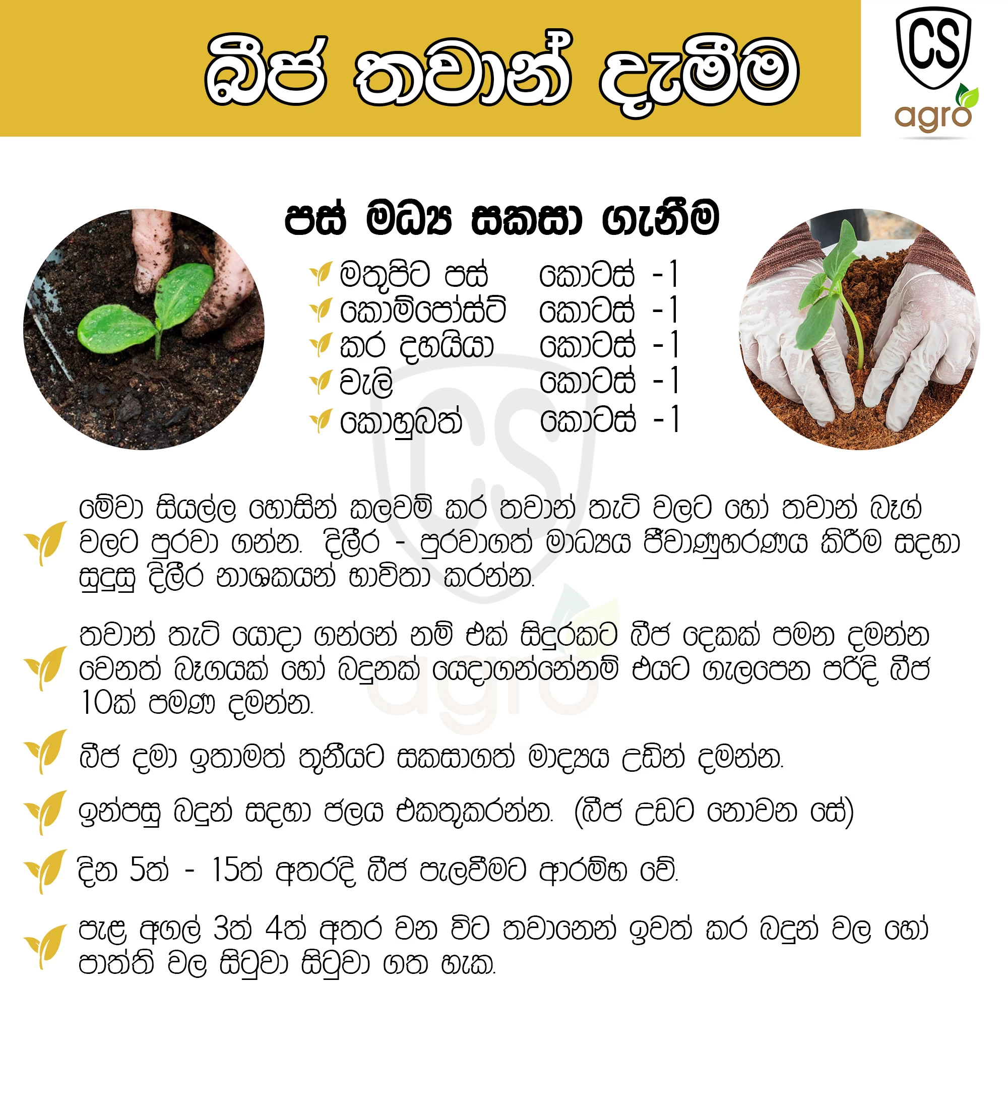 Indam F1 Hybrid Knol Khol Seeds 5g - image 2