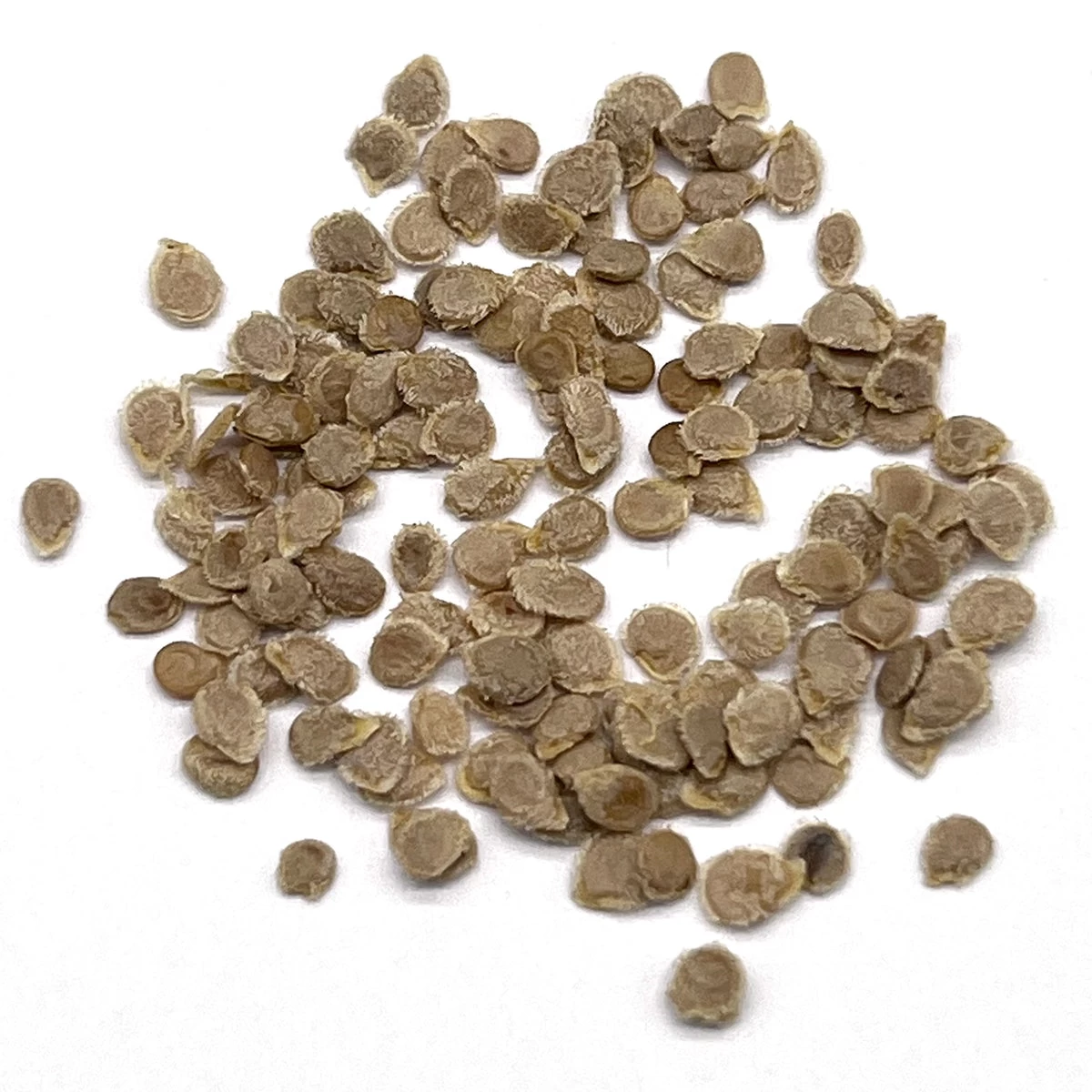 Generic King Kong F1 Hybrid Tomato Seeds - image 4
