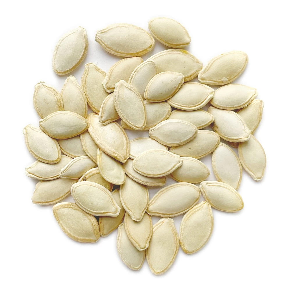F1 Hybrid Zucchini Jemmy Summer Squash Seeds 10g - image 4