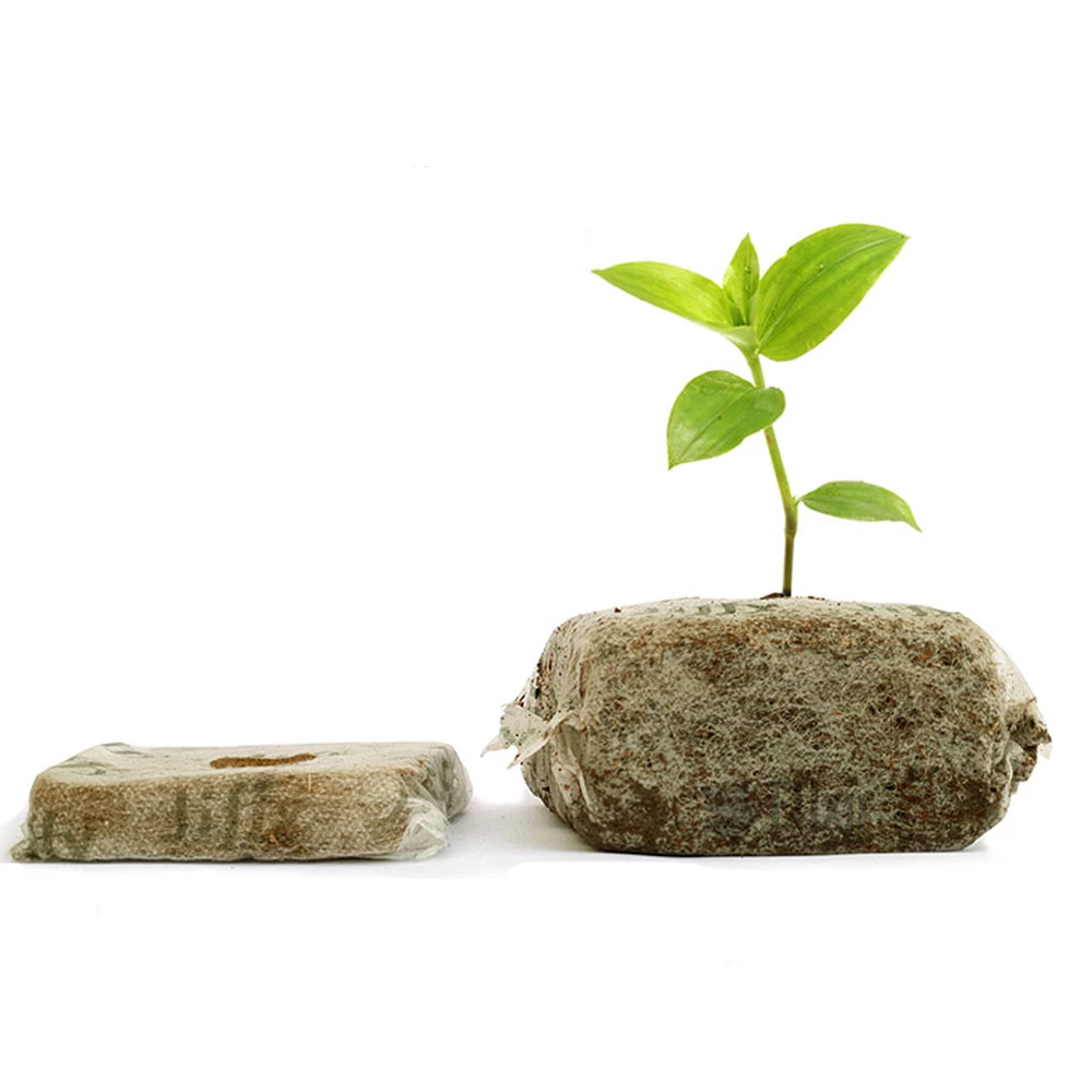 Jiffy Coco Plug Seeds Planting 100PCS 80mm - image 2