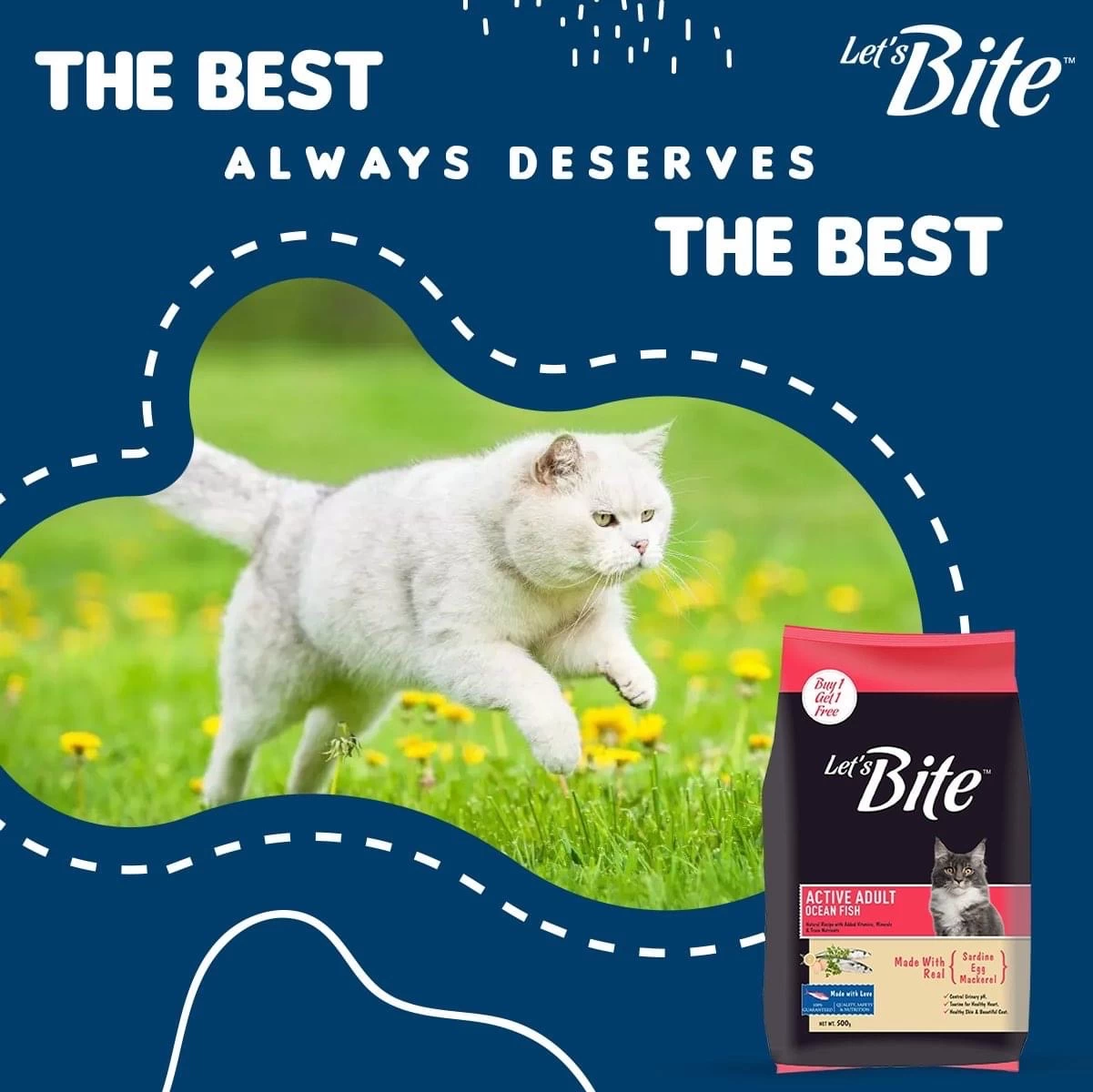 Let's Bite Active Adult Dry Cat Food 400g x 2 Pack