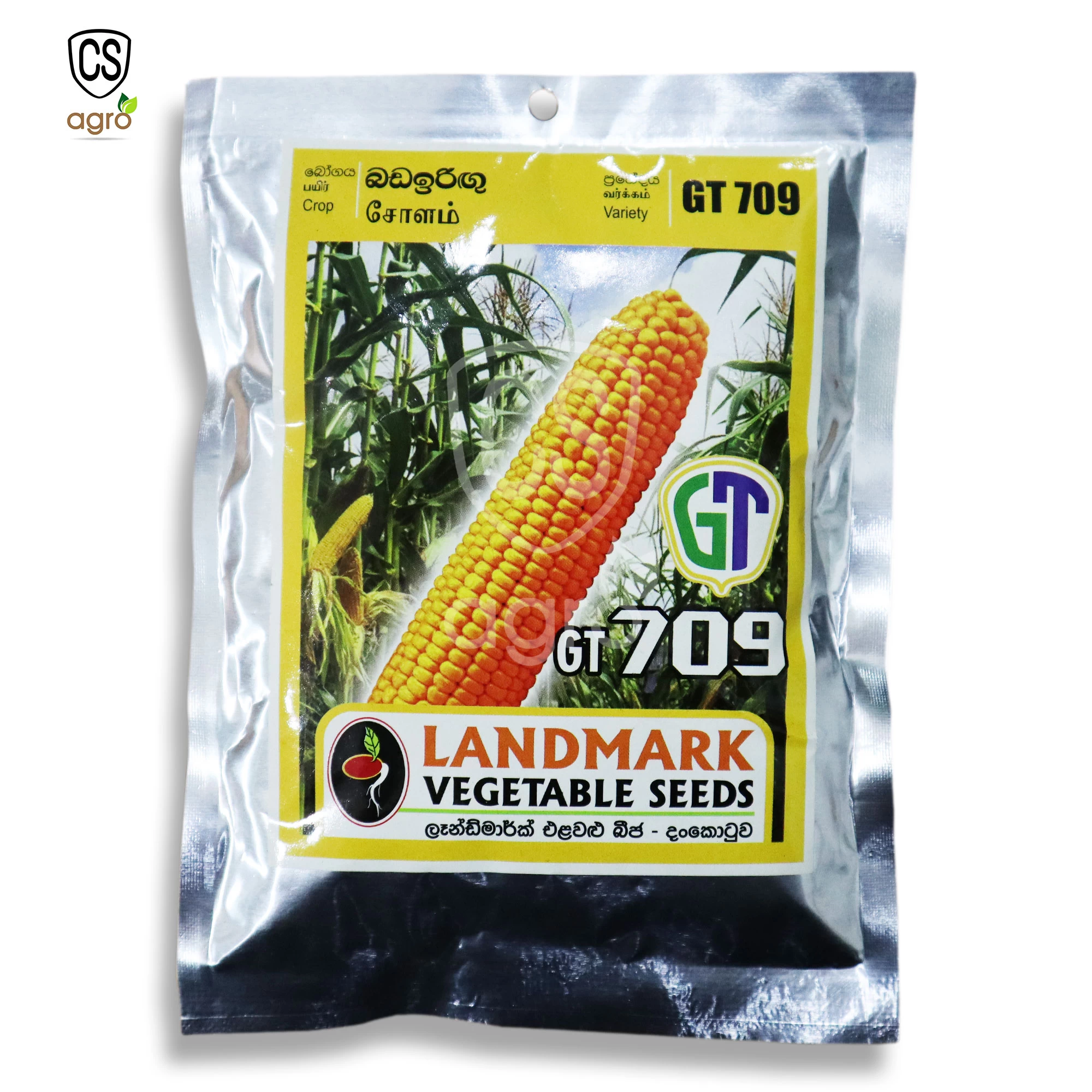 Maize GT 709 Seeds for Home Gardening 100g - image 2