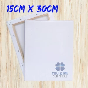 15cmX 30cm White Blank Artist Canvas Board
