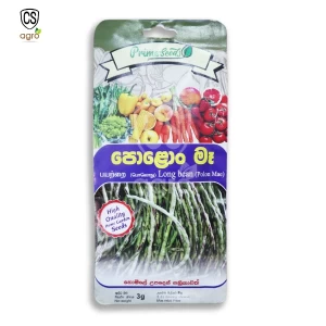 Long Beans Seeds 3g for Home Gardening