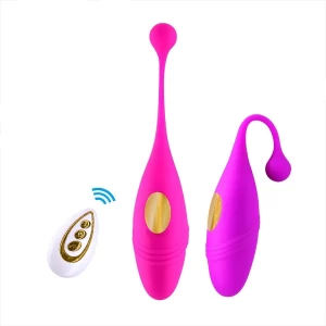 Generic Vibrating Egg Remote Control