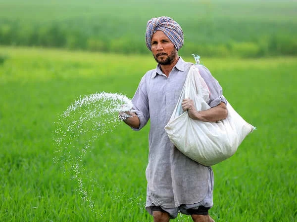 Generic Urea Fertilizer 200g for Home Gardening - image 2