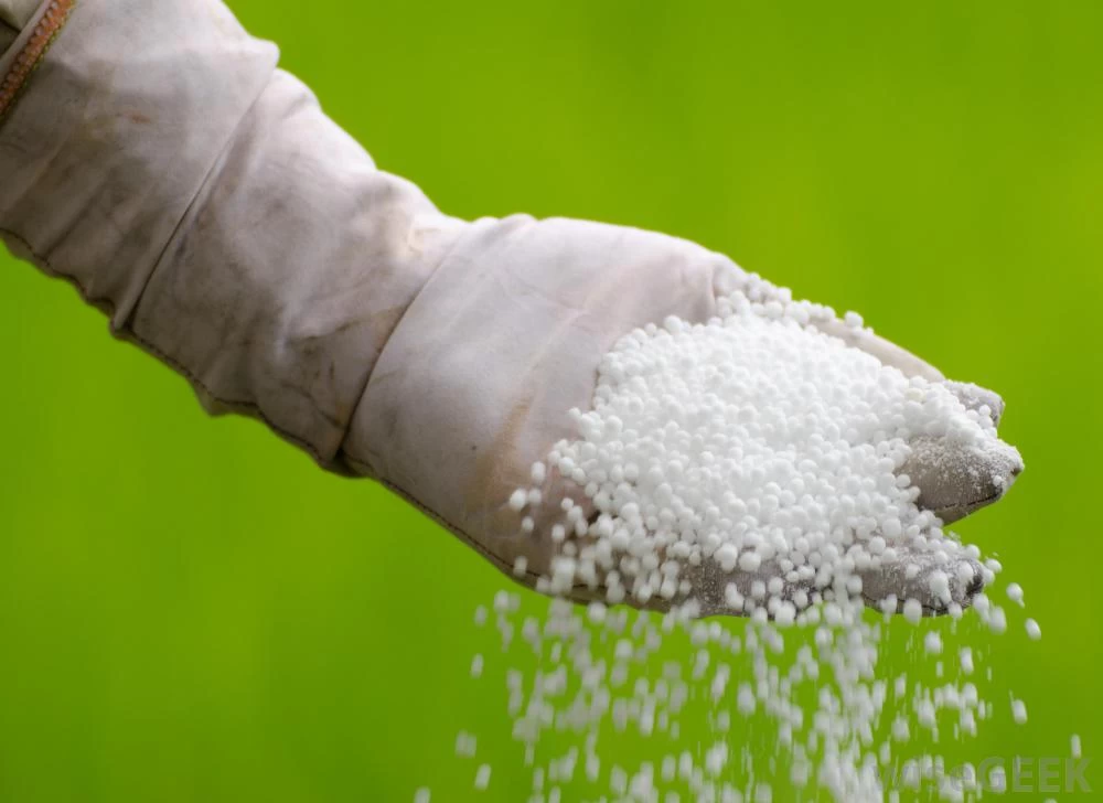 Generic Urea Fertilizer 200g for Home Gardening - image 3