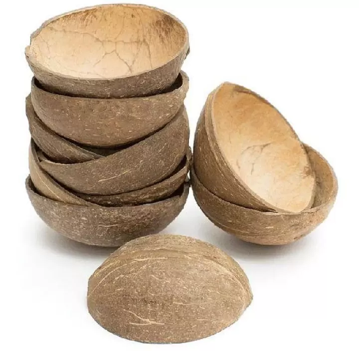 Natural Coconut Shells - Decorative & Pet Fun - image 1