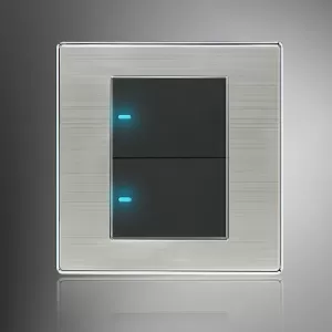 Generic LED Wall Switch Panel Two Switch Control 250V