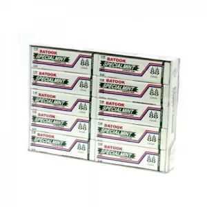 Batook Special Mint Chewing Gum 12.5g (20-pack)