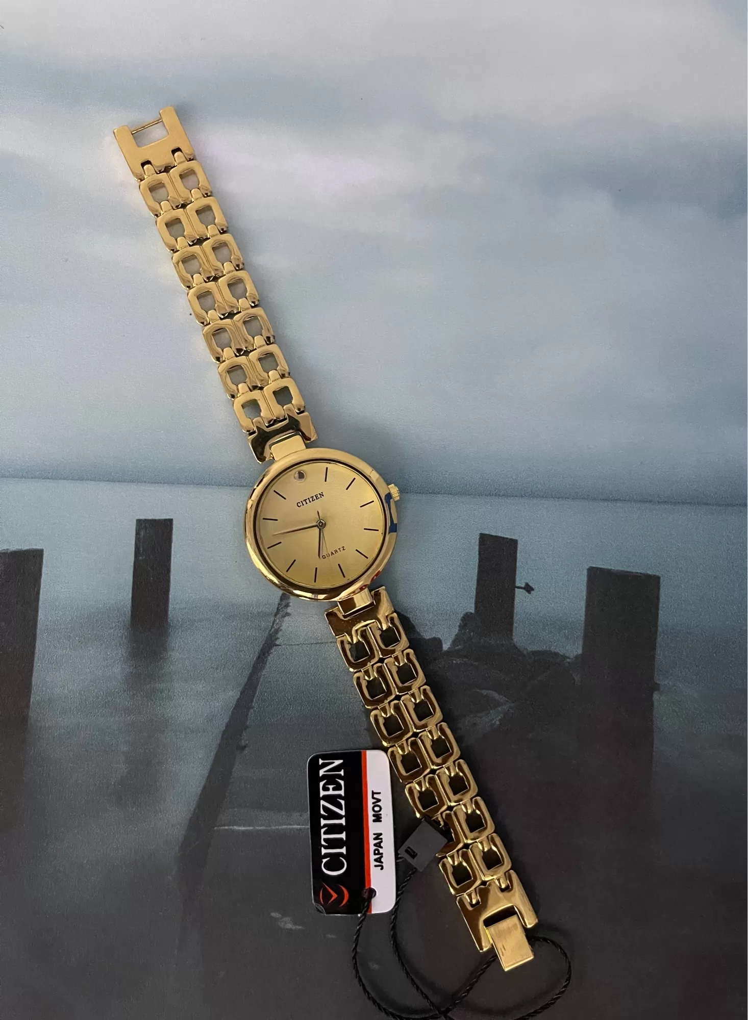 Gold Women Luxury Gift for Citizen Women Casual Watch