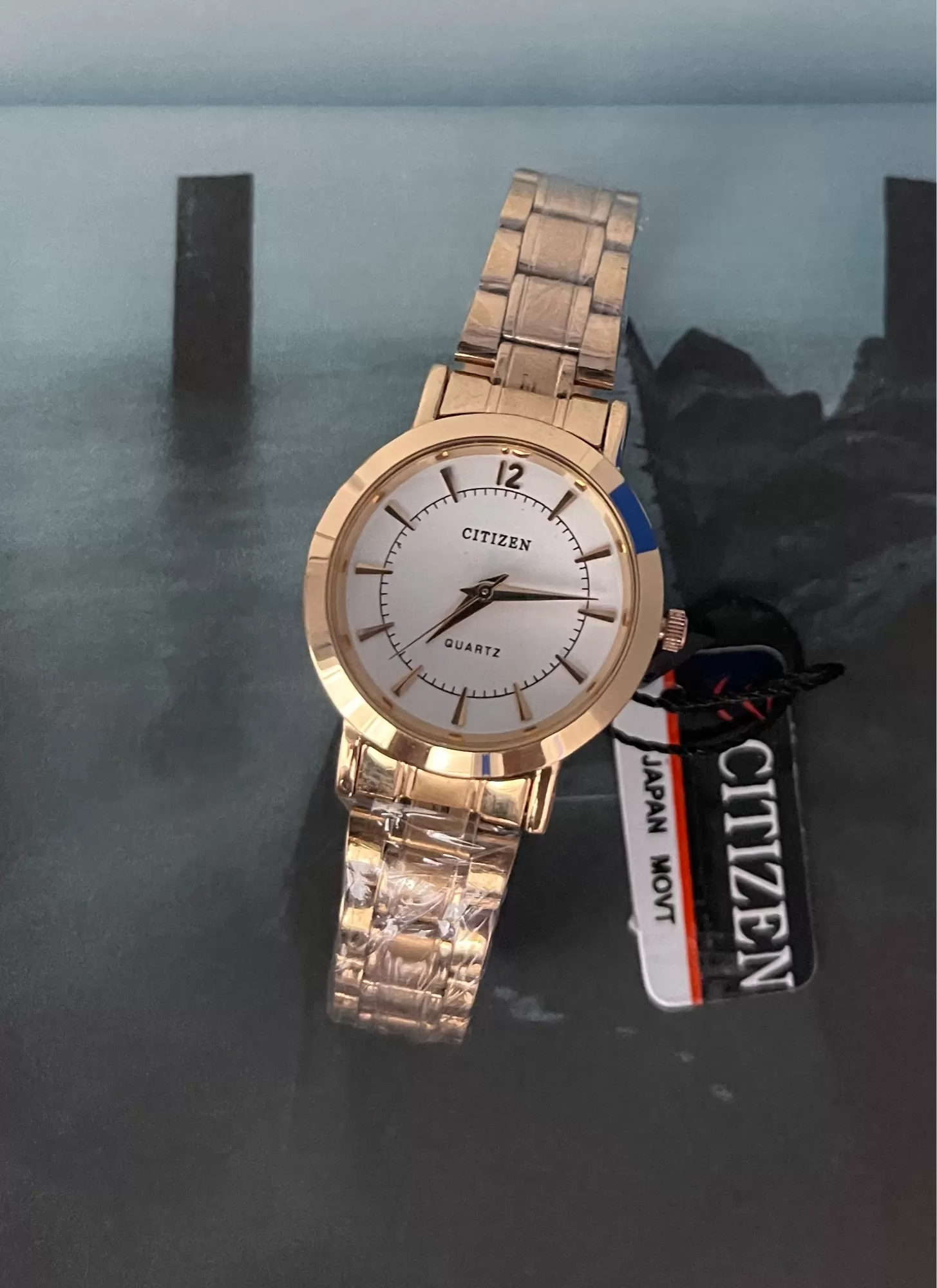 Rose Gold Women Luxury Gift for Citizen Women Casual Watch