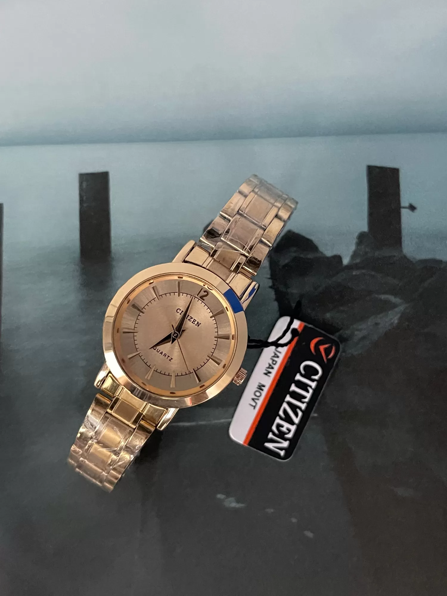 Rose Gold Women Luxury Gift for Citizen Women Casual Watch