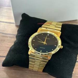 Gold Mens Casual Citizen Brand Watch